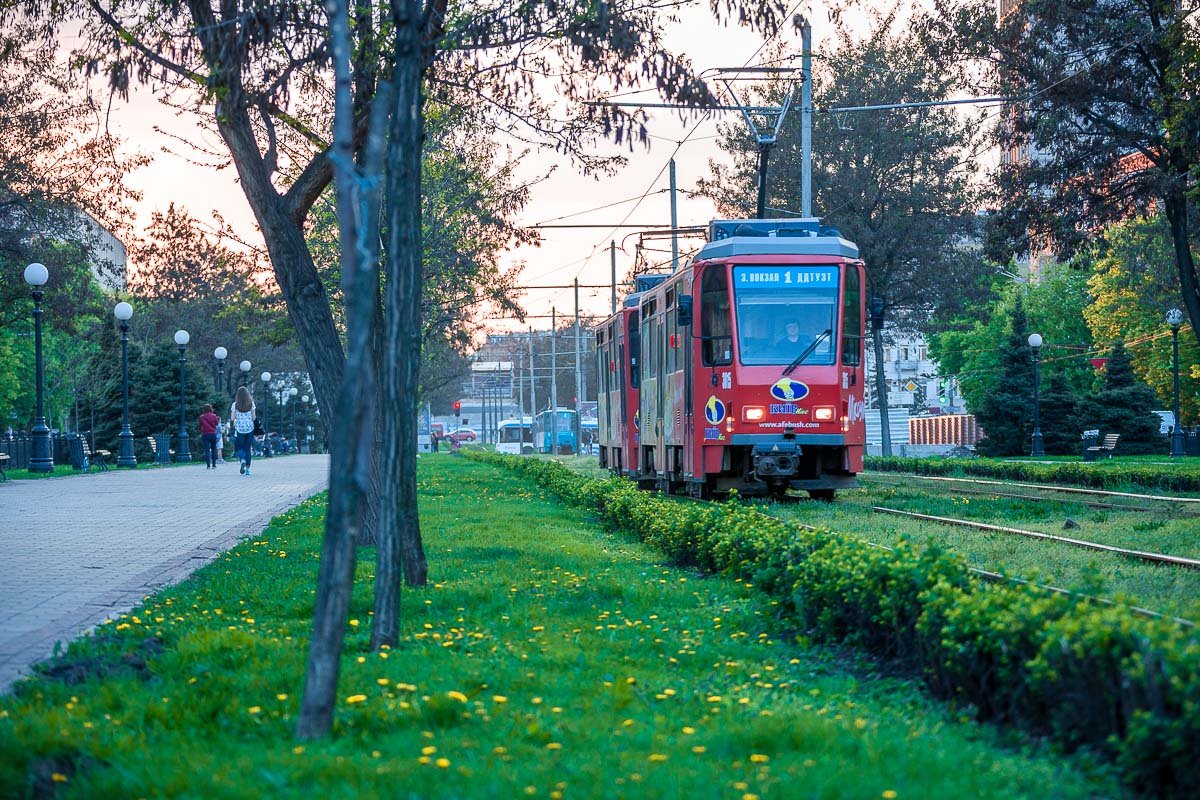 Сквозь траву прорываются одуванчики