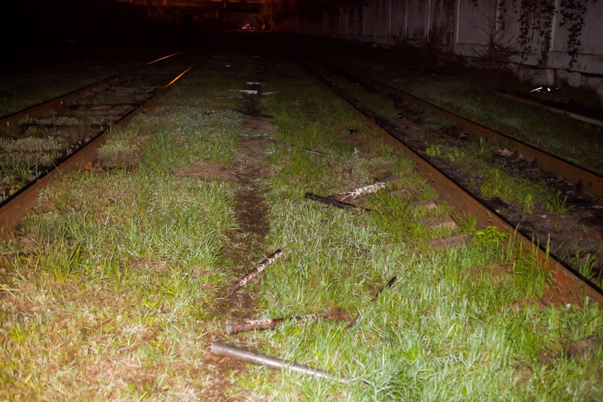 Фото: Евгений Ошарин Фото: Евгений Ошарин