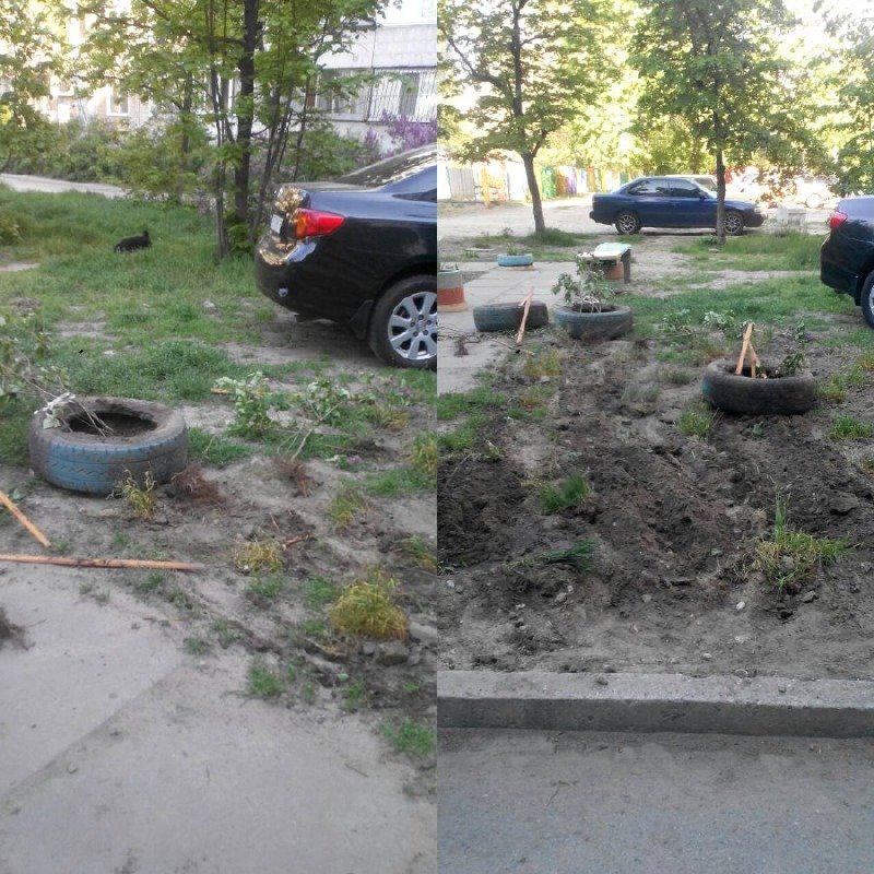 Бабушки пытались облагородить территорию Бабушки пытались облагородить территорию