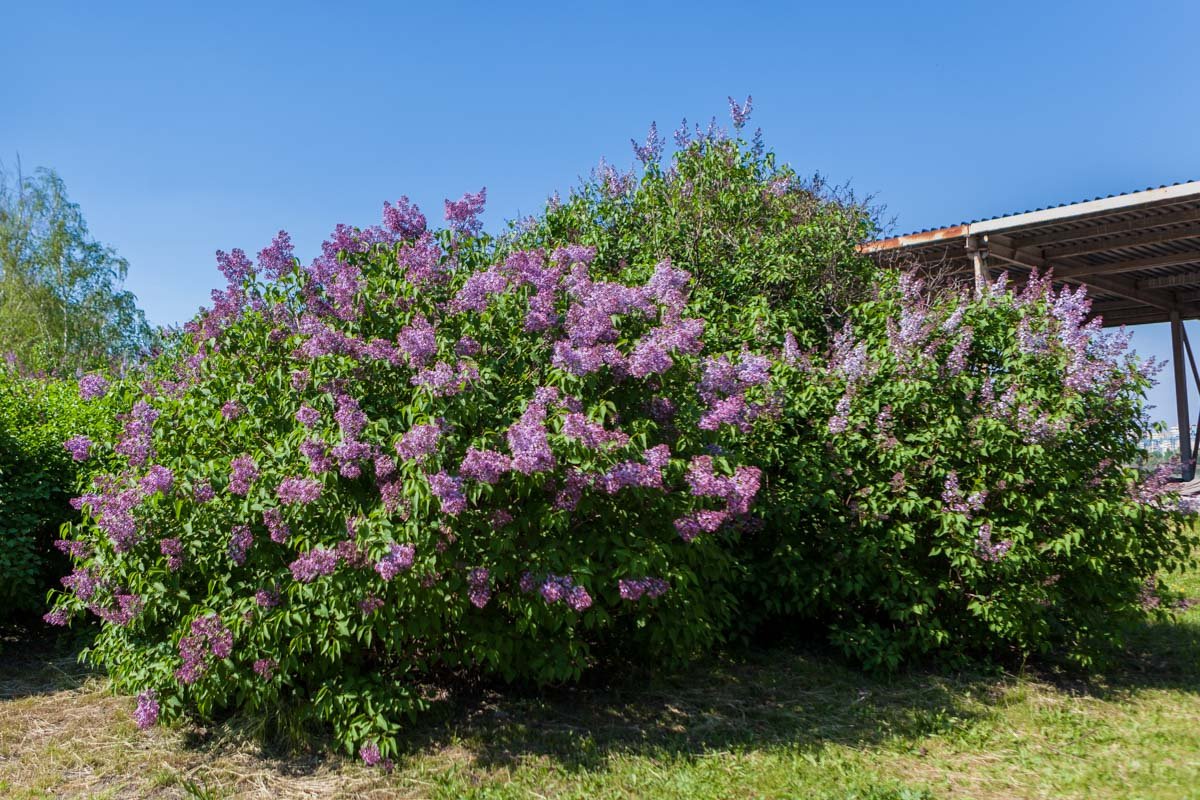 Оглянитесь и вы увидите