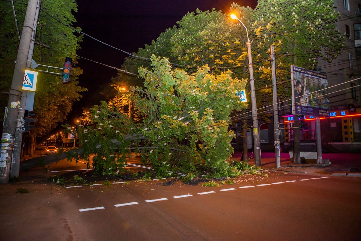 Упавшее дерево оборвало провода и перекрыло движение