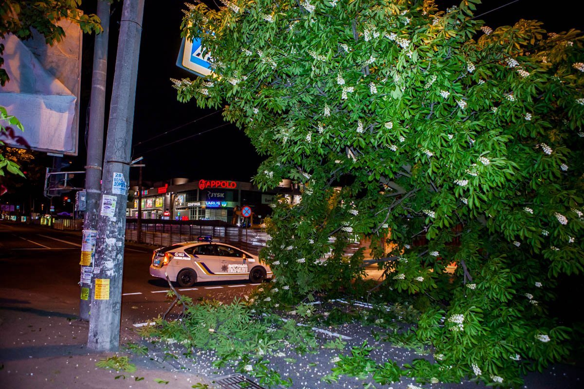 На место происшествия прибыл патруль полиции