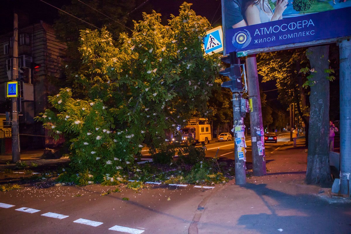 Полиция разыскивает виновных