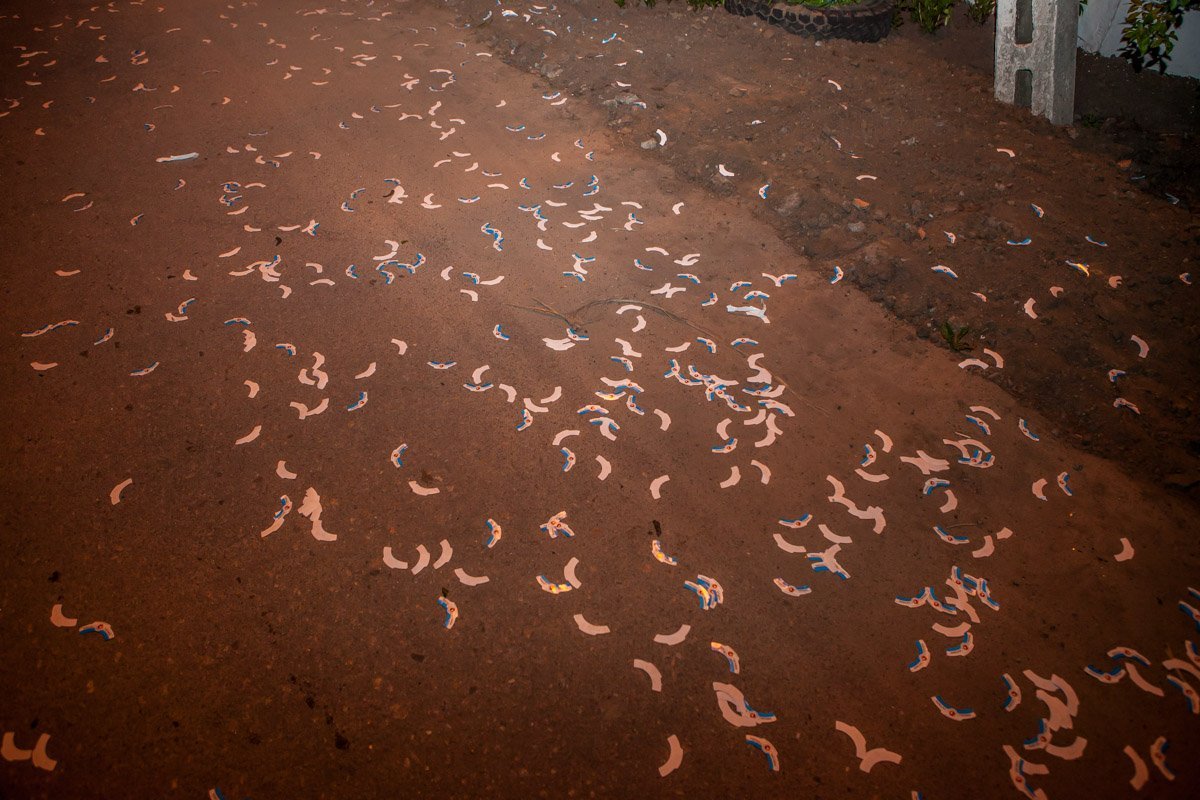 Колеса автомобилей сдувают этикетки, словно листочки поздней осенью