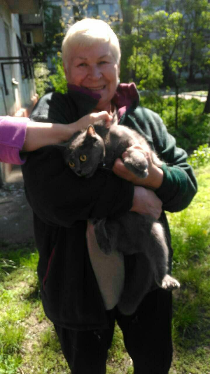 Котенка вернули хозяйке Котенка вернули хозяйке