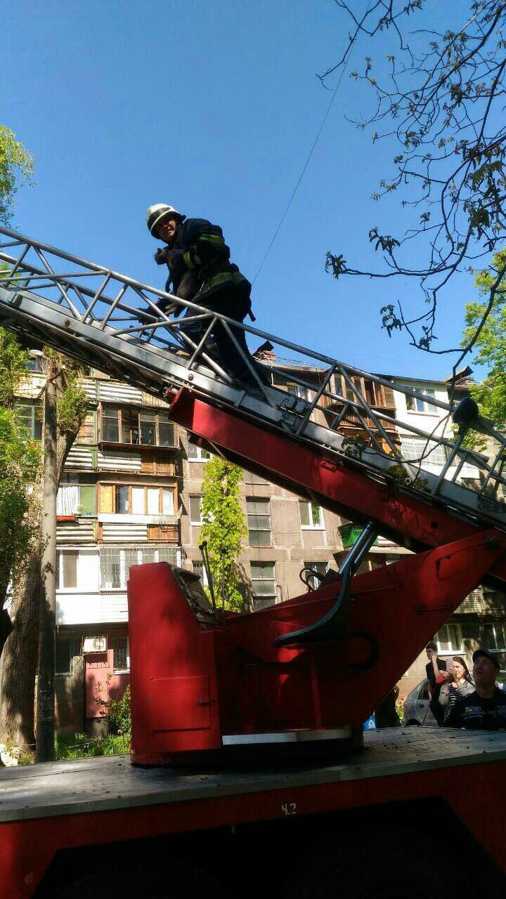 Чтобы помочь котенку, попавшему в передрягу, спасатели использовали пожарную автолестницу Чтобы помочь котенку, попавшему в передрягу, спасатели использовали пожарную автолестницу