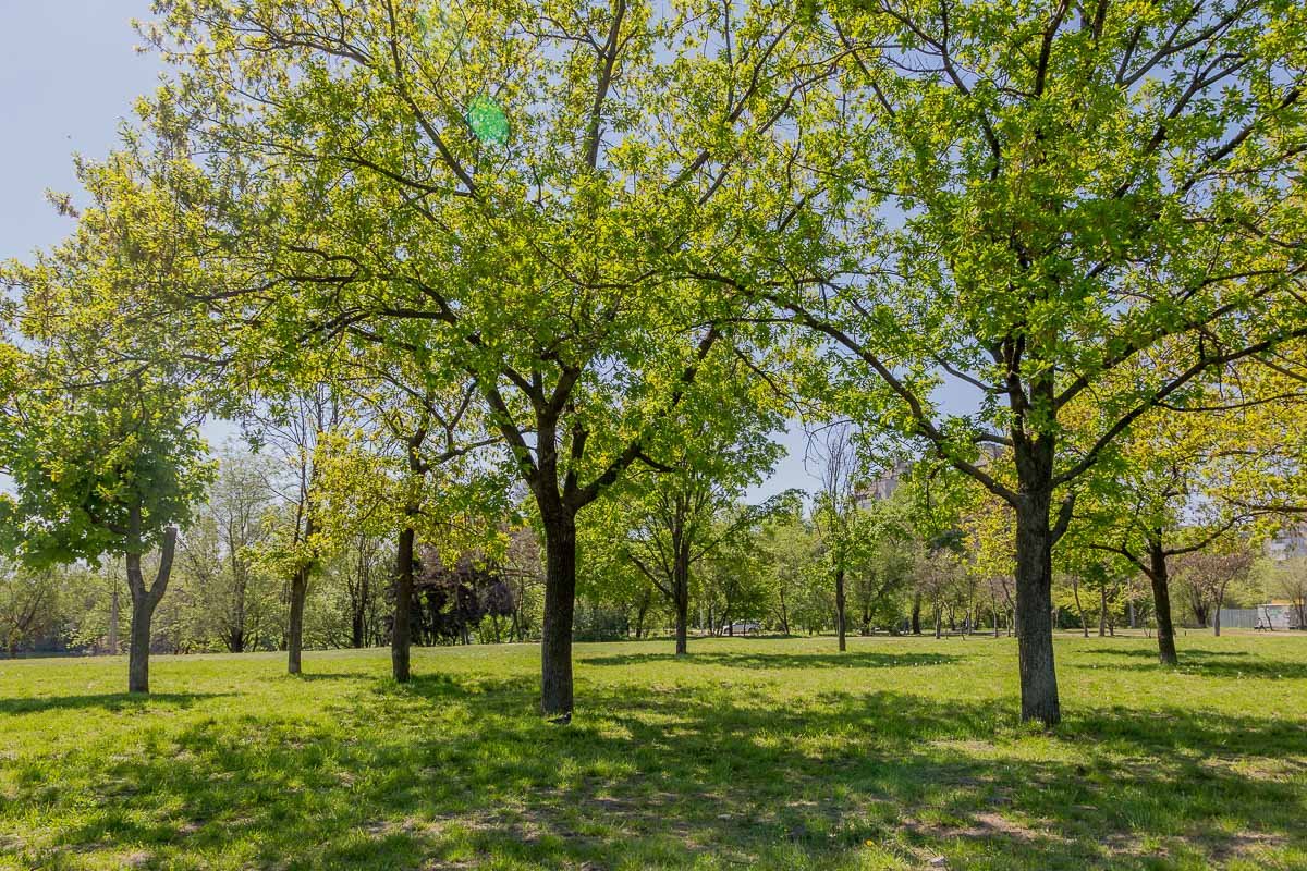 Невероятно живописная местность Невероятно живописная местность