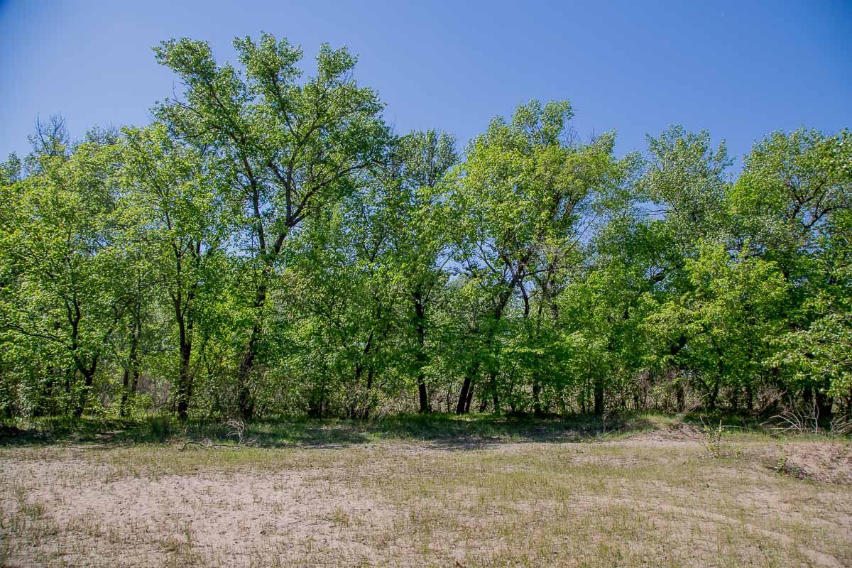 Идеальное место для отдыха в кругу друзей и близких Идеальное место для отдыха в кругу друзей и близких