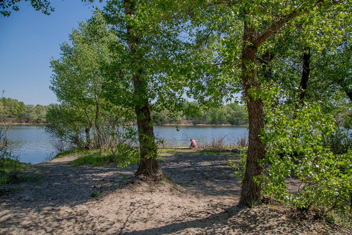 Живописный уголок природы радует глаз жителей мегаполиса Живописный уголок природы радует глаз жителей мегаполиса