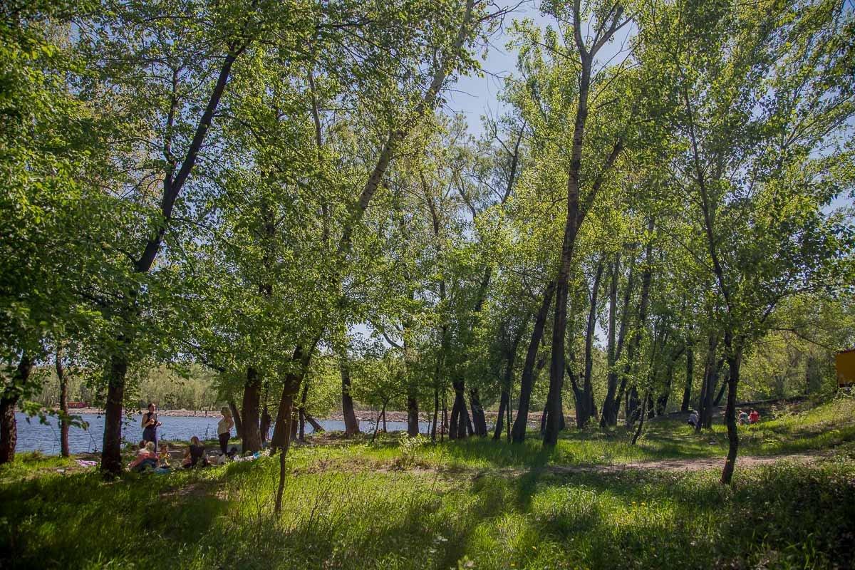 Обилие зеленого цвета радует глаз Обилие зеленого цвета радует глаз