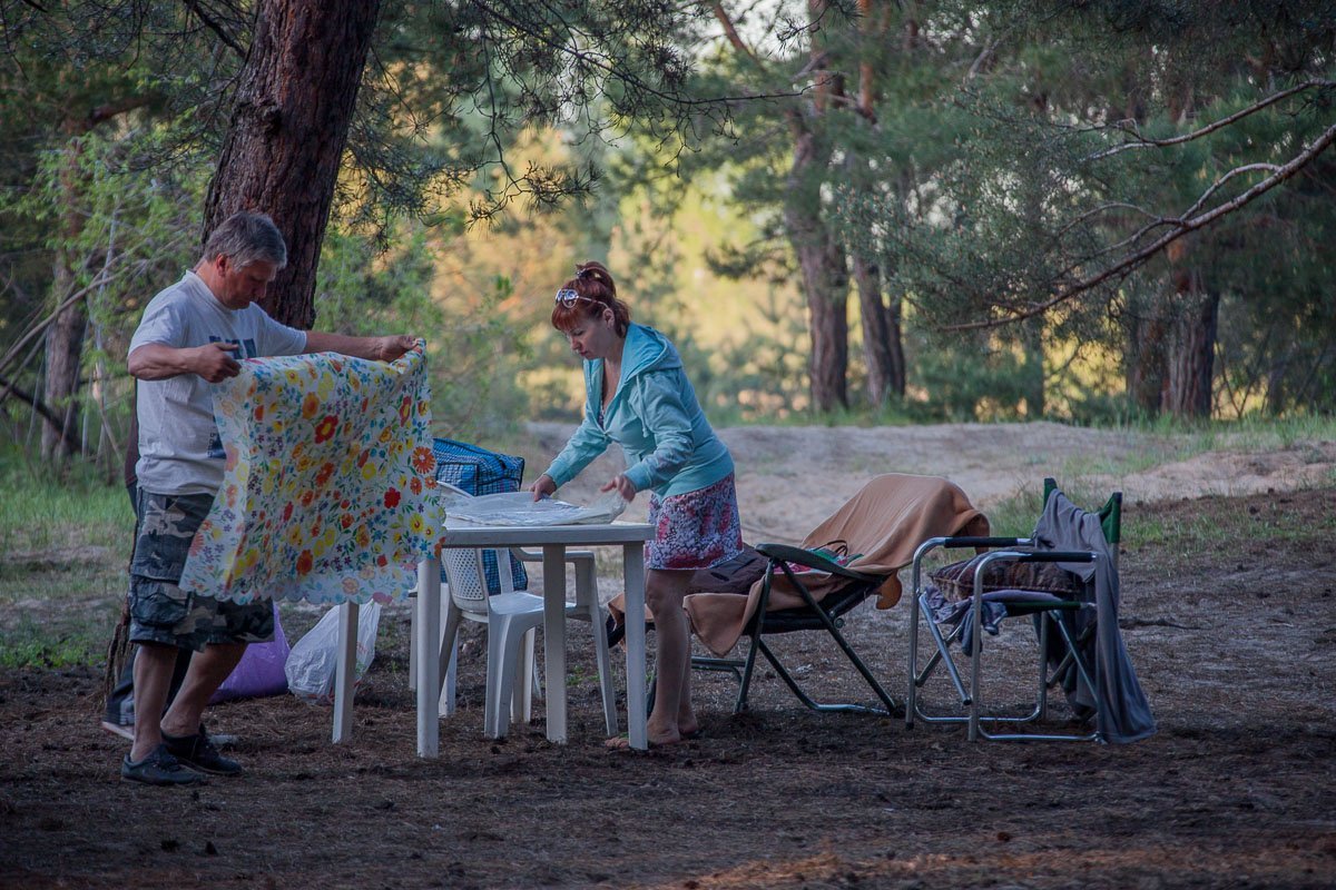 Для того, чтобы побывать в лесу, необязательно далеко уезжать Для того, чтобы побывать в лесу, необязательно далеко уезжать