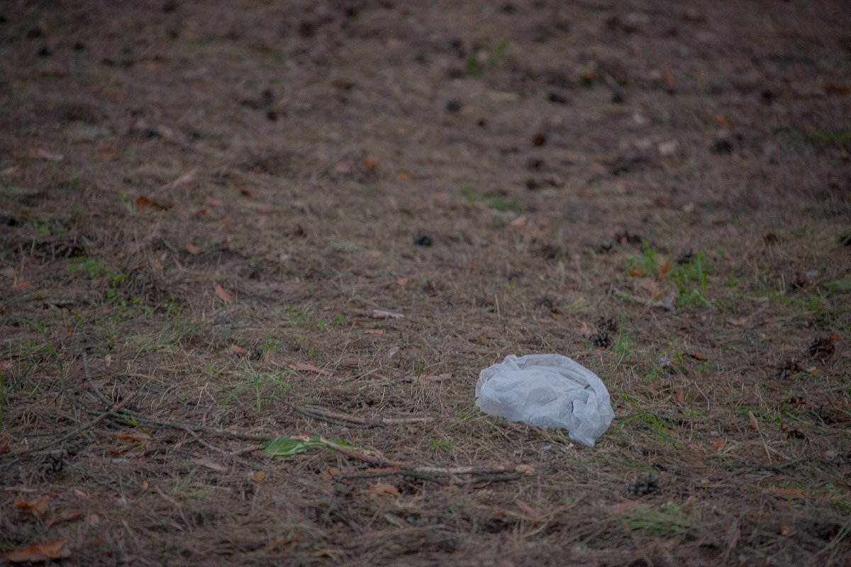 Брошенный пакетик Брошенный пакетик