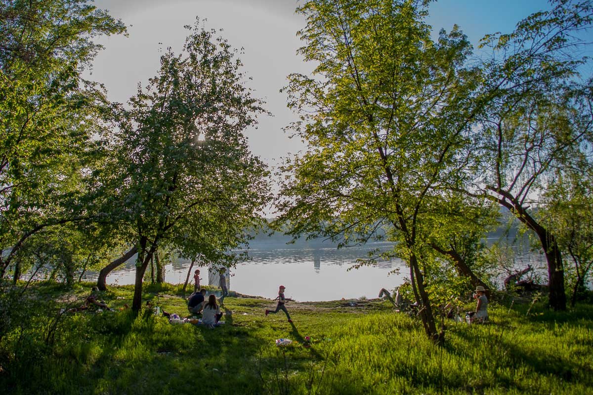 На лужайках люди стараются убирать за собой На лужайках люди стараются убирать за собой