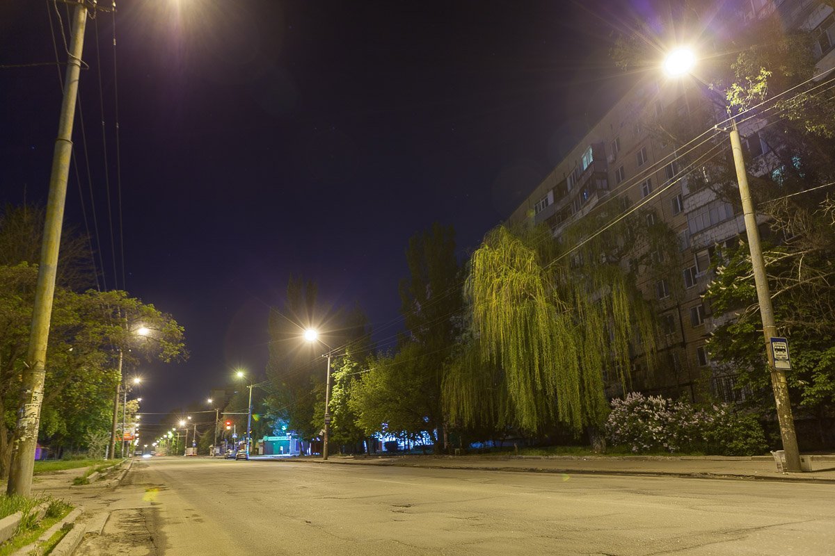 Остановки ждут своих обитателей Остановки ждут своих обитателей