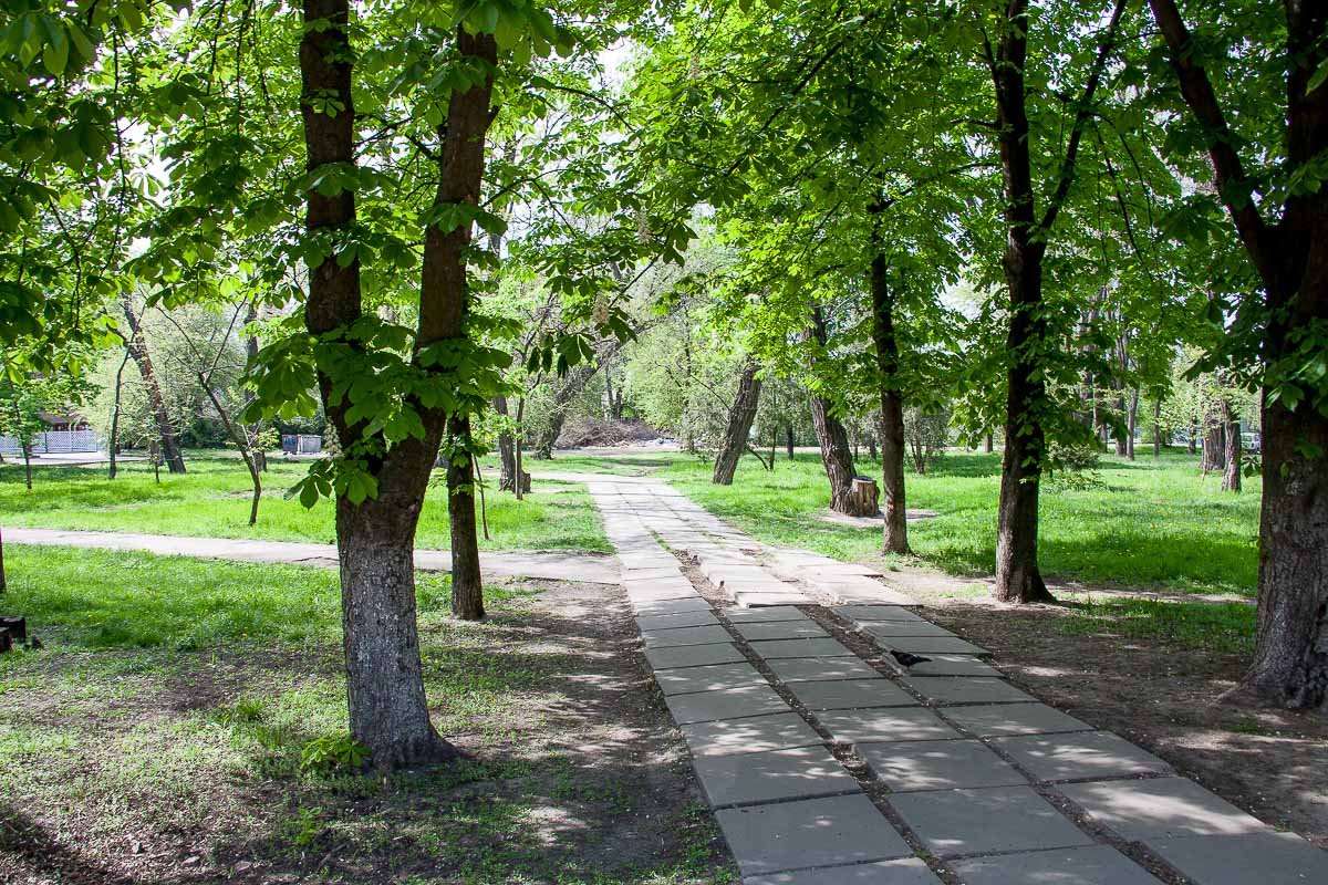 Аллеи в парке разрушаются под давлением времени Аллеи в парке разрушаются под давлением времени
