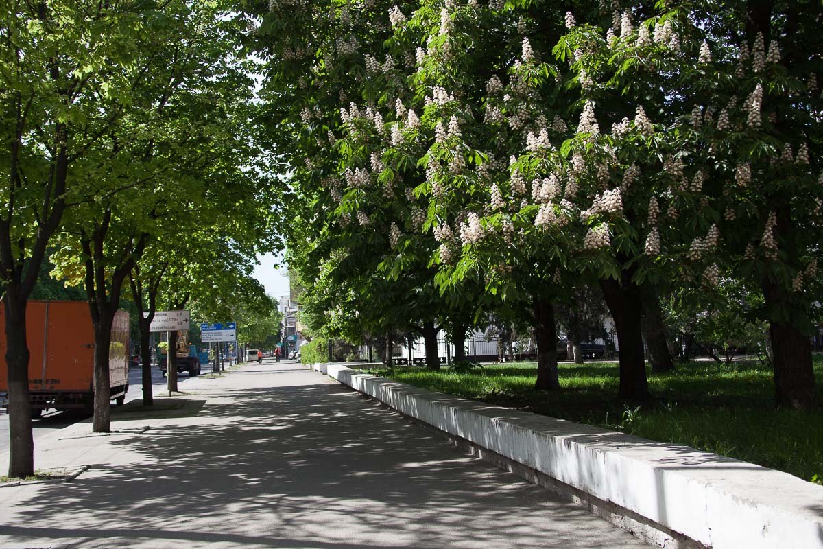 Какой бы ни была история, но она родила нас Какой бы ни была история, но она родила нас