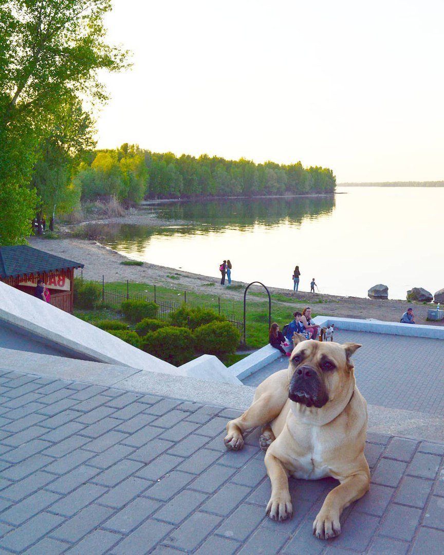 Так и люди: не замечают красоту, которая находится буквально за спиной. Фото: valeryvolok