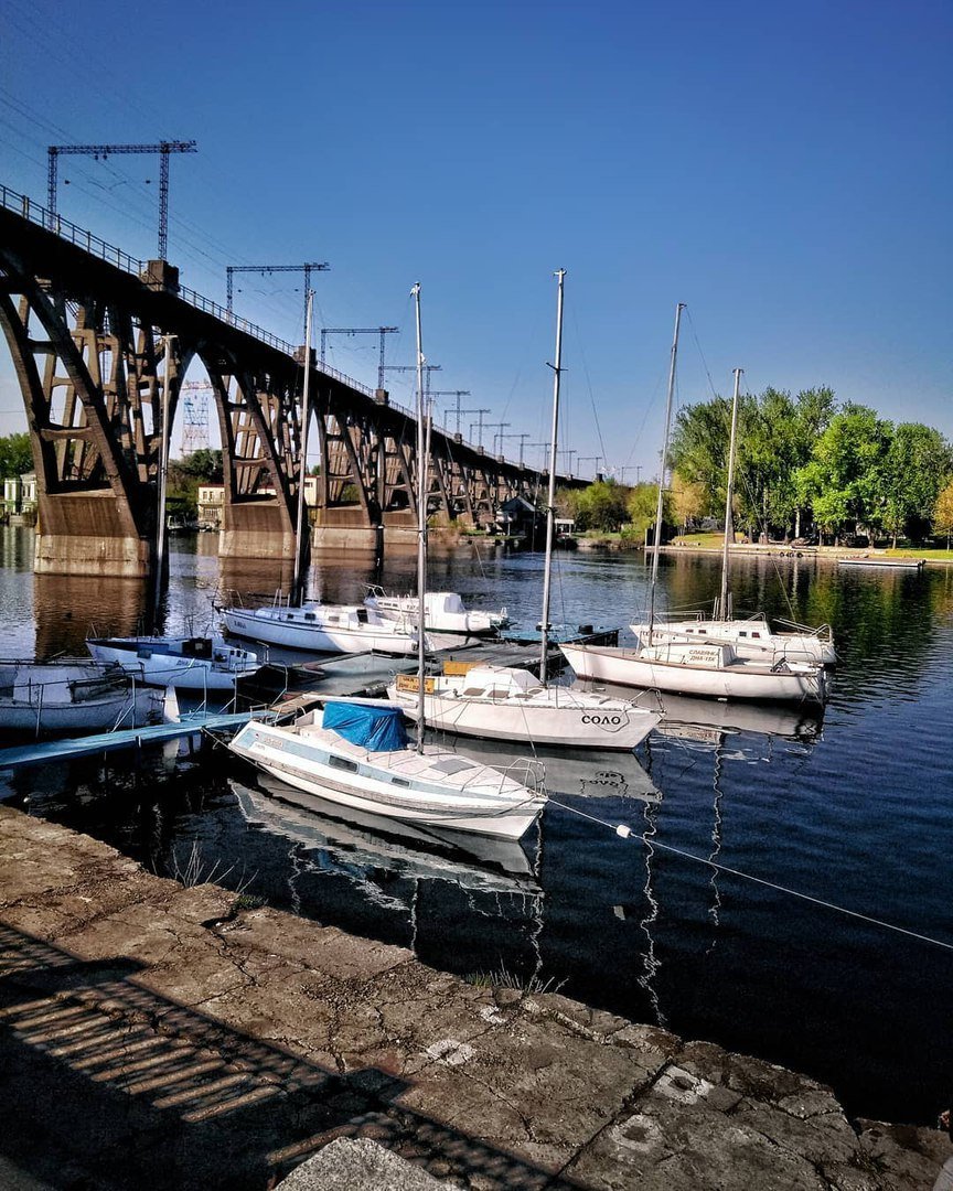 Лучшее лекарство от всех проблем. Фото: drunya_7