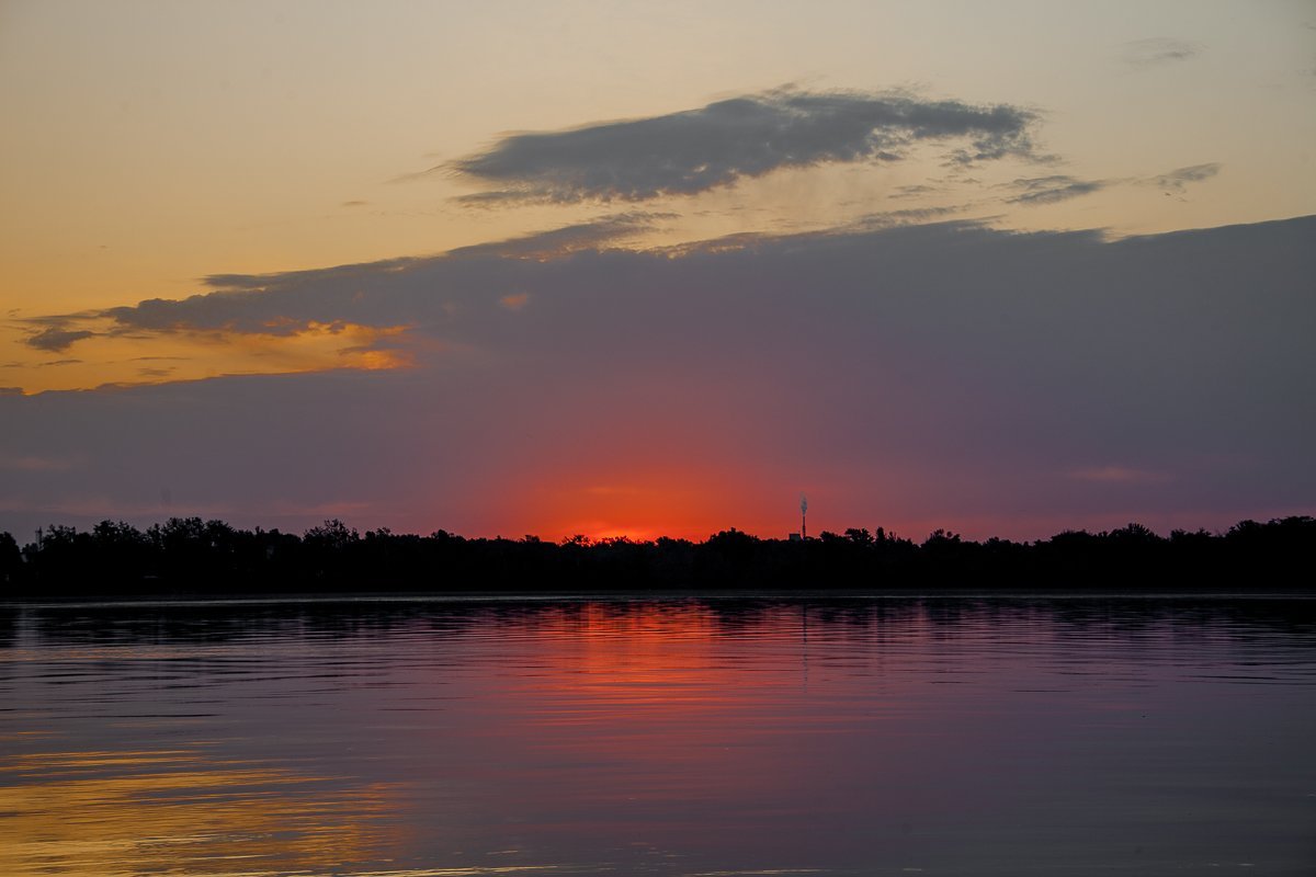 Цитрусовый рассвет