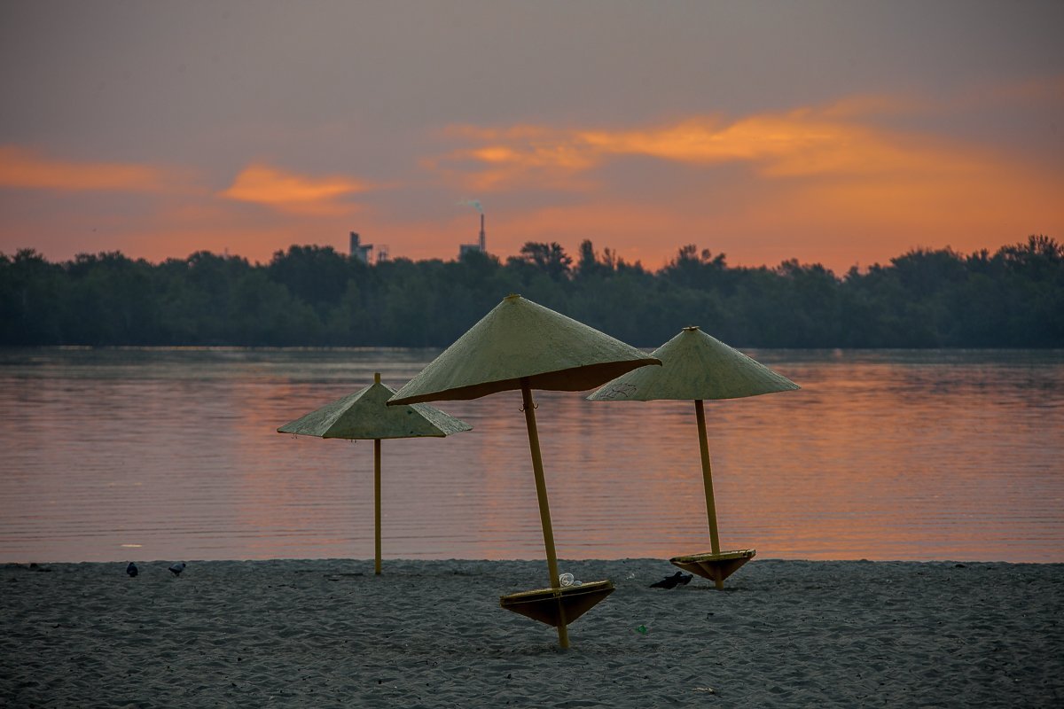 Грибочки напоминают о приближающемся лете