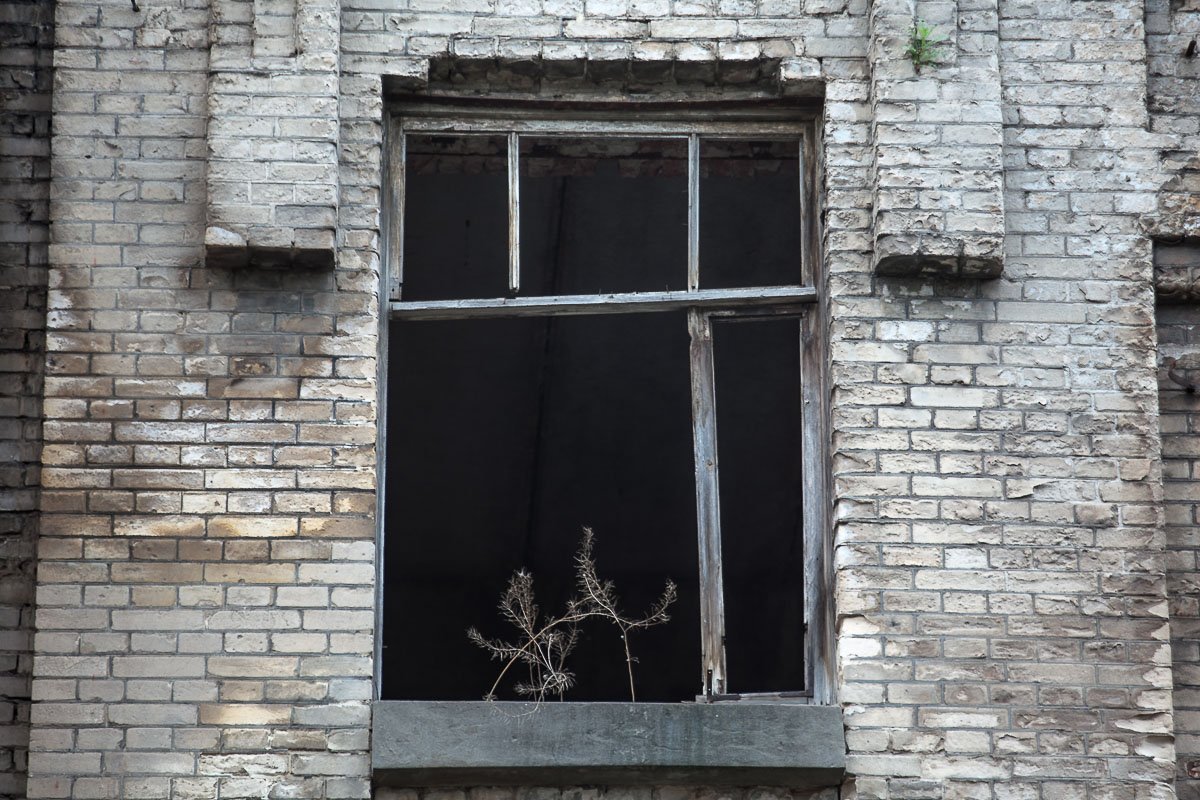 Уже давно никто не выглядывал из этих окон Уже давно никто не выглядывал из этих окон