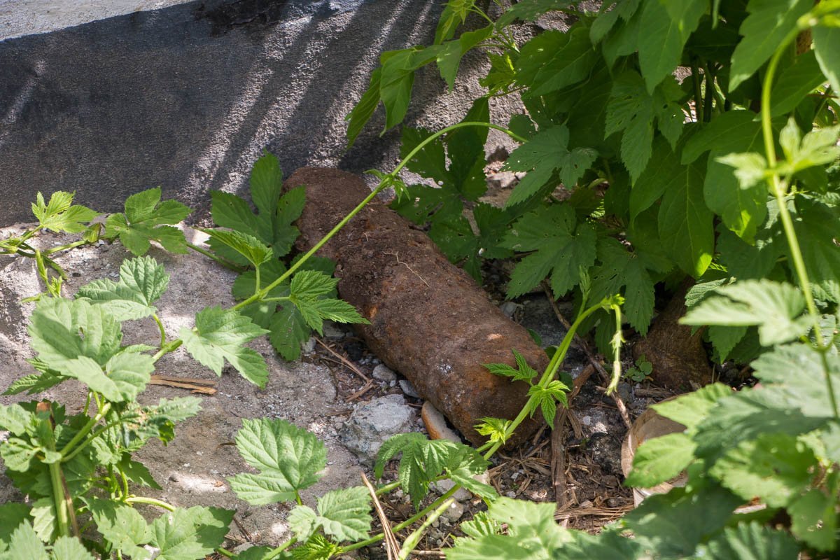 Находку осмотрят взрывотехники Находку осмотрят взрывотехники