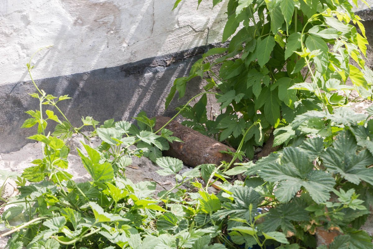 Снаряд времен Второй мировой войны обнаружили в Соборном районе Днепра Снаряд времен Второй мировой войны обнаружили в Соборном районе Днепра