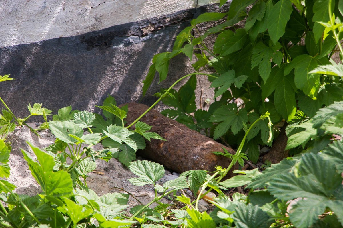 От опасной находки никто не пострадал От опасной находки никто не пострадал