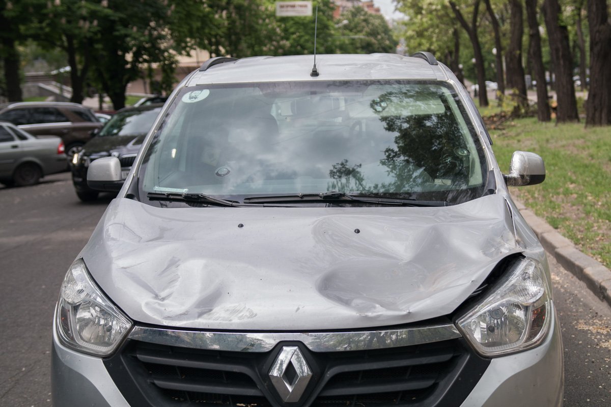 Аварийное дерево рухнуло на капот Renault Аварийное дерево рухнуло на капот Renault