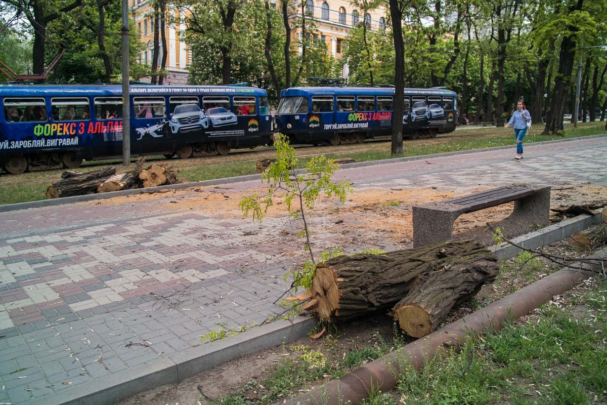 Благо, в момент инцидента пешеходов не было рядом Благо, в момент инцидента пешеходов не было рядом