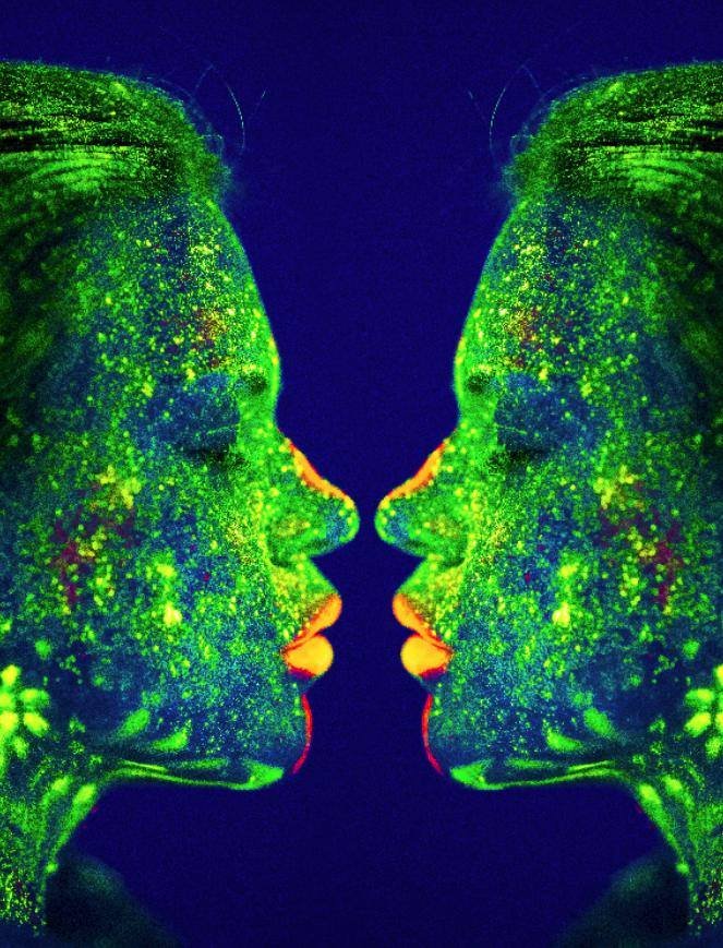 Красота - это магия: зачем нужен стилист и где в Днепре его найти 3