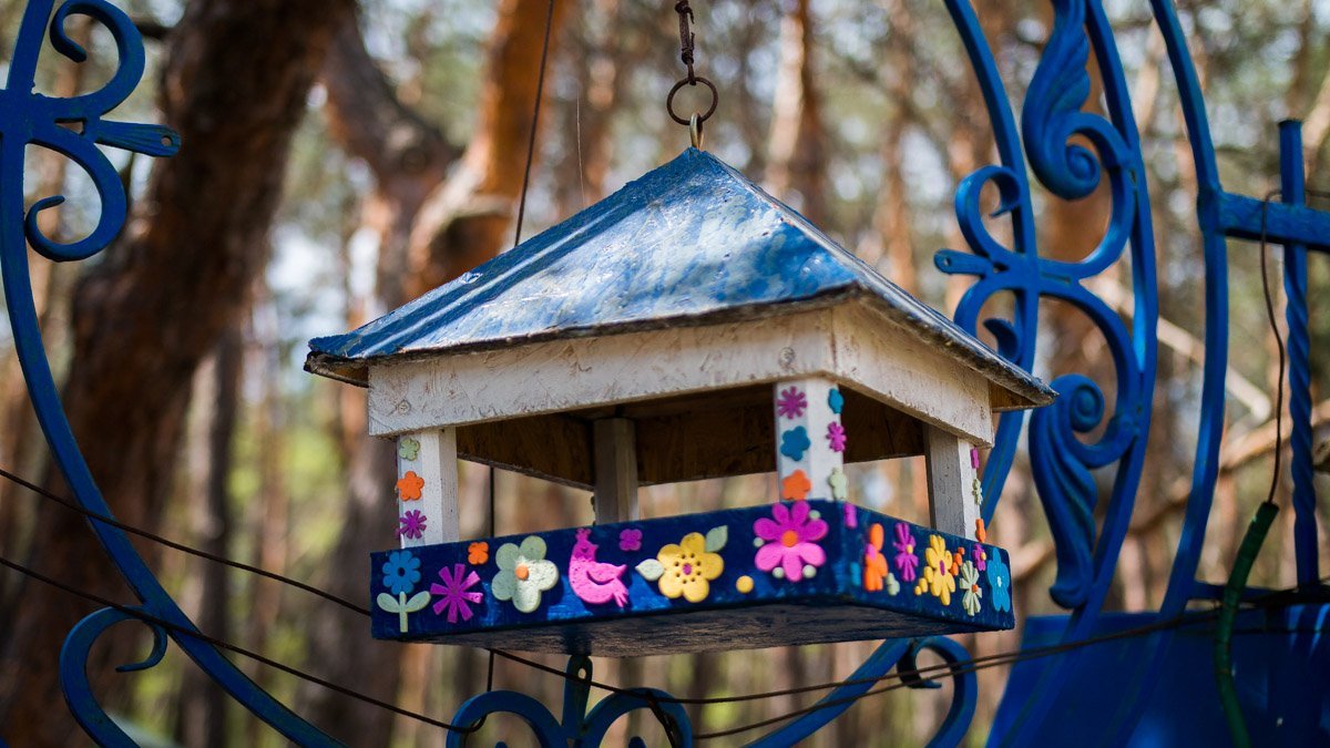 Здесь заботятся о животных