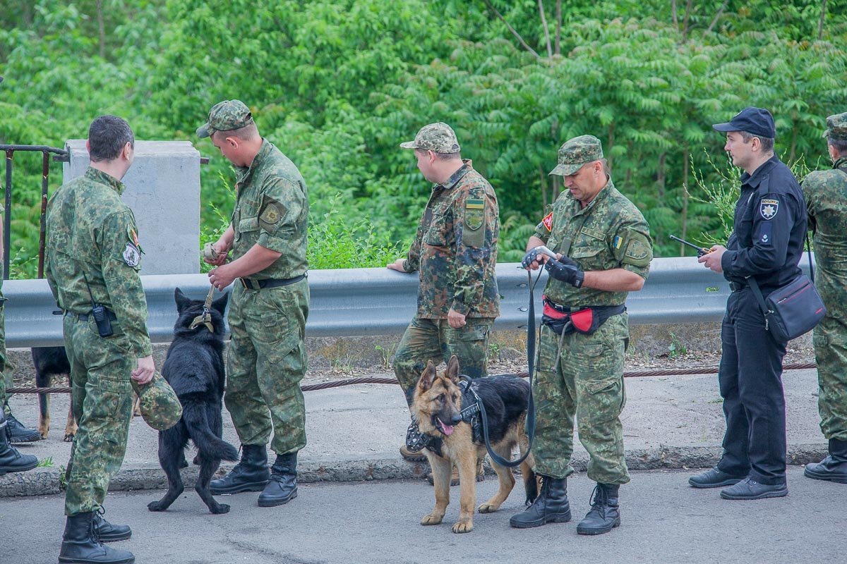 За порядком следили кинологи
