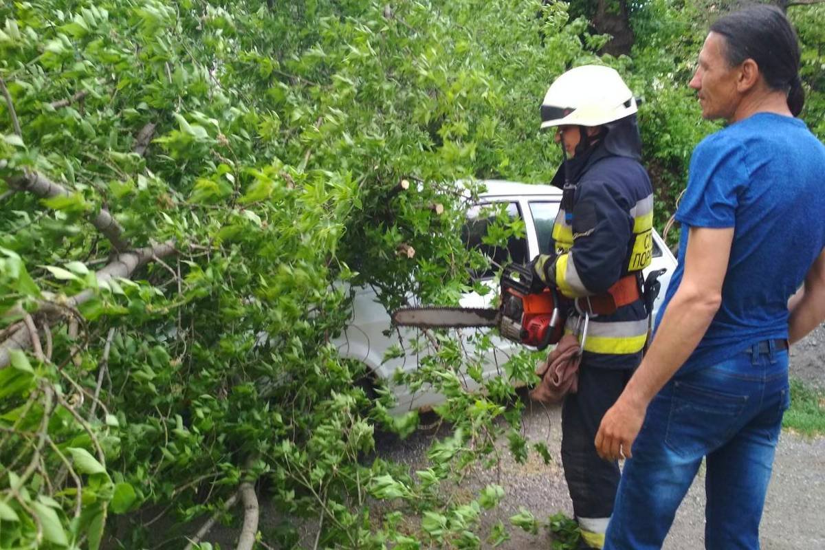 К счастью, обошлось без пострадавших К счастью, обошлось без пострадавших