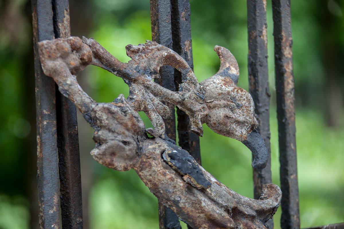 Фото: Андрей Лысенко