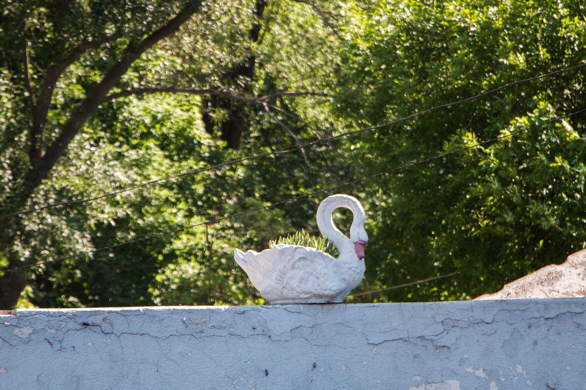 На входе в театр ждут лебеди