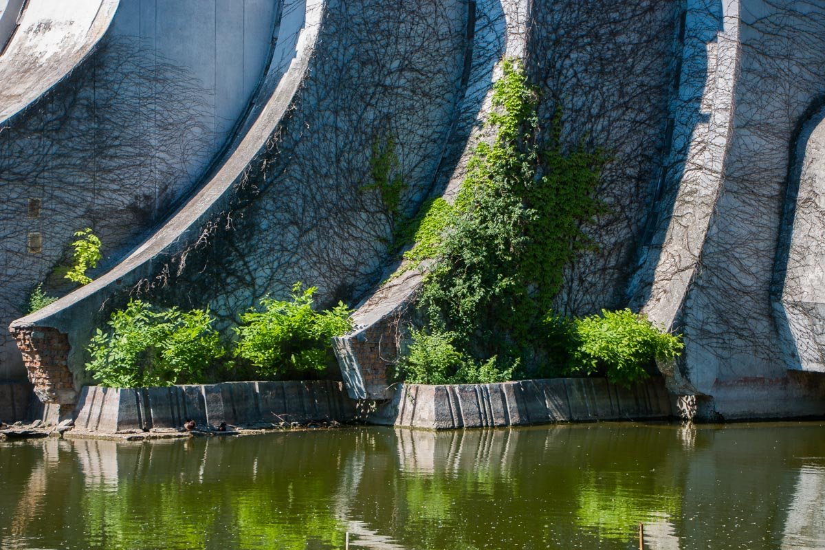 Стены здания обил плющ