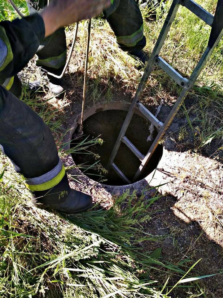 К спасательным работам привлекли 5 человек личного состава и 1 единицу пожарно-спасательной техники К спасательным работам привлекли 5 человек личного состава и 1 единицу пожарно-спасательной техники