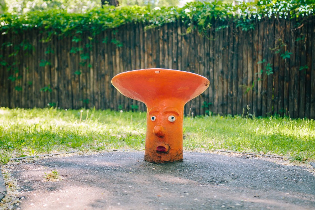 Если после употребления в пищу гриба, они начинают выглядеть так - то вы съели не тот гриб