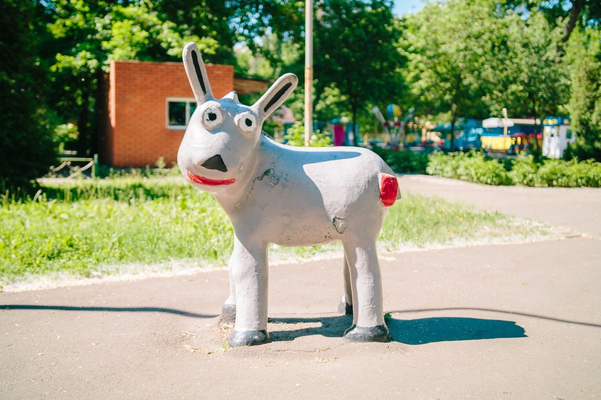 Ну что, вы все еще хотите пожаловаться на свой лишний вес или кривой нос?