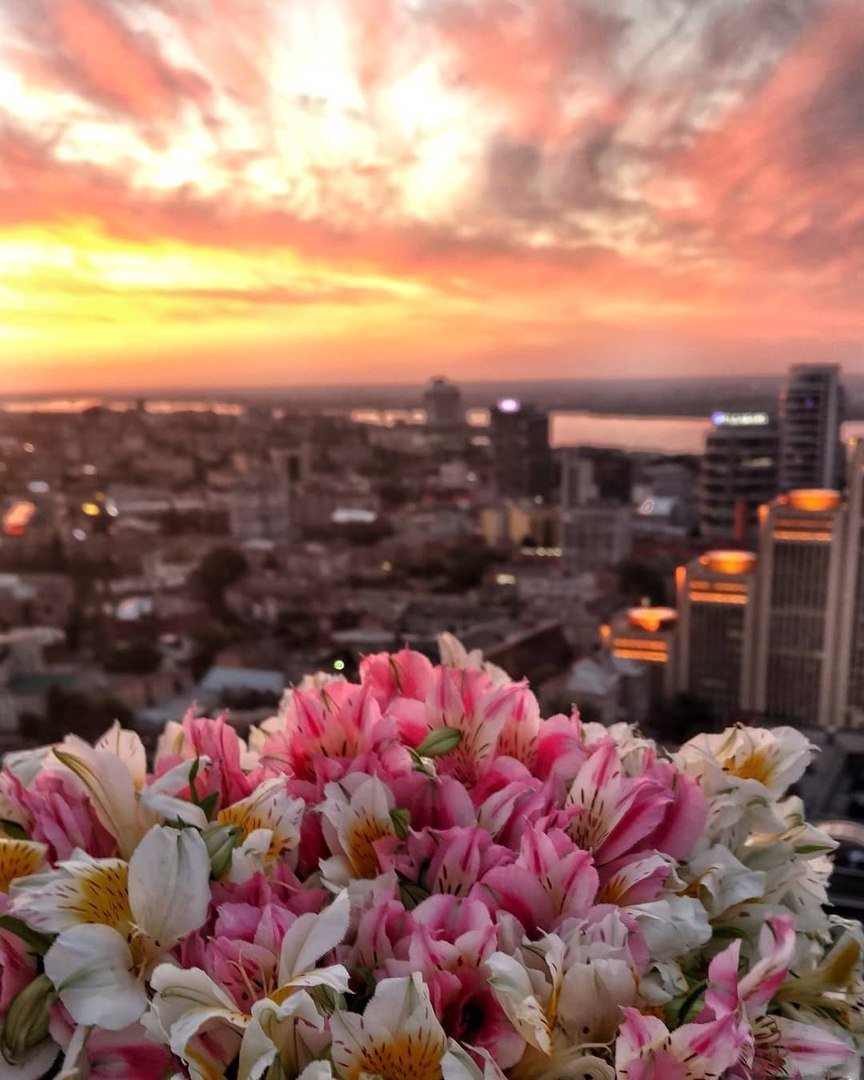 Цветы и солнце - что может быть лучше. Фото: oksana_marchuk