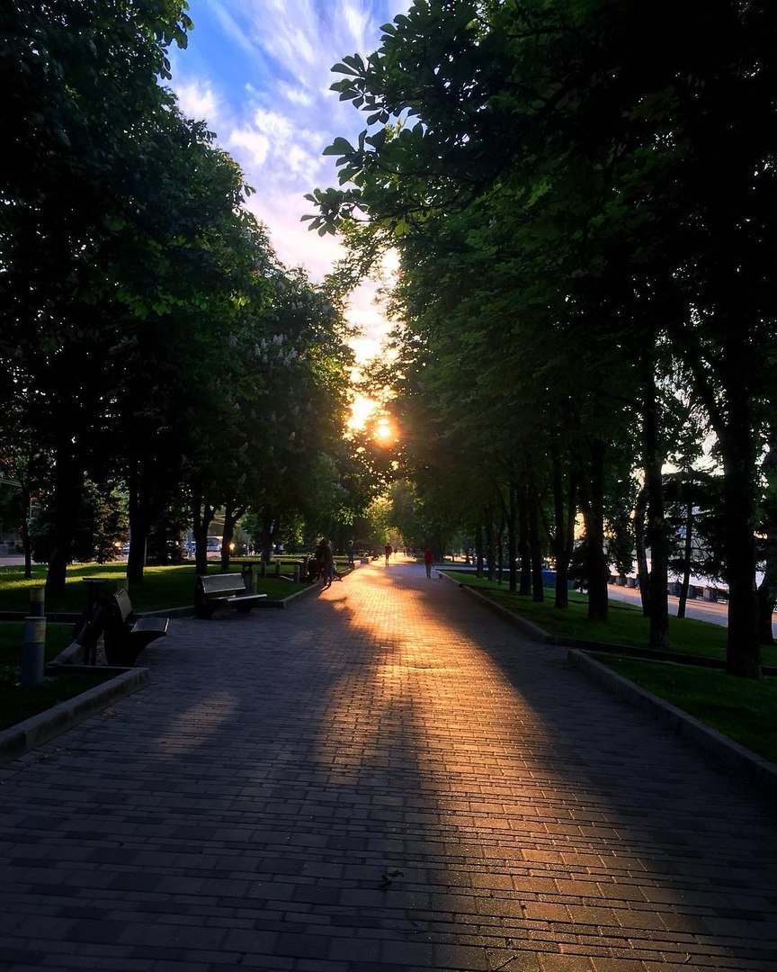 Городская аллея. Фото: vladimir_podunay