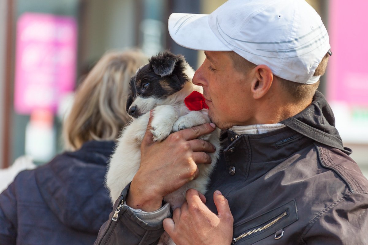Милота на этом фото просто зашкаливает!