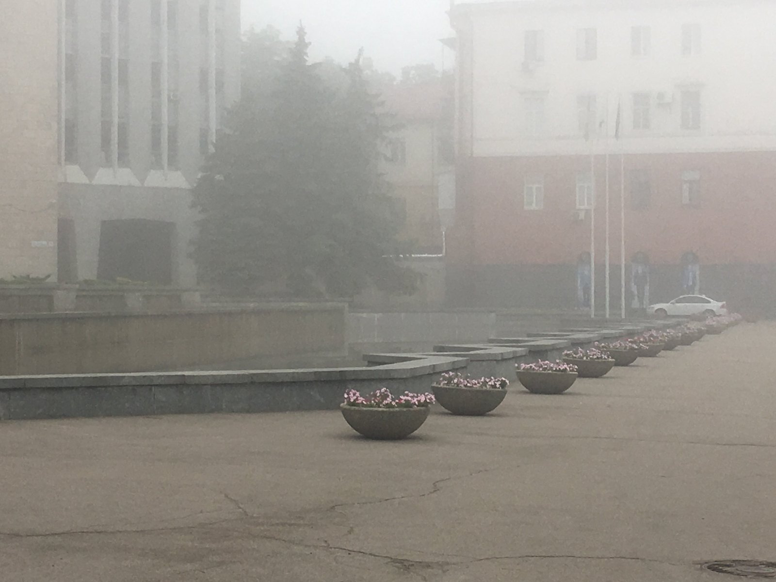 Город плавает в тумане