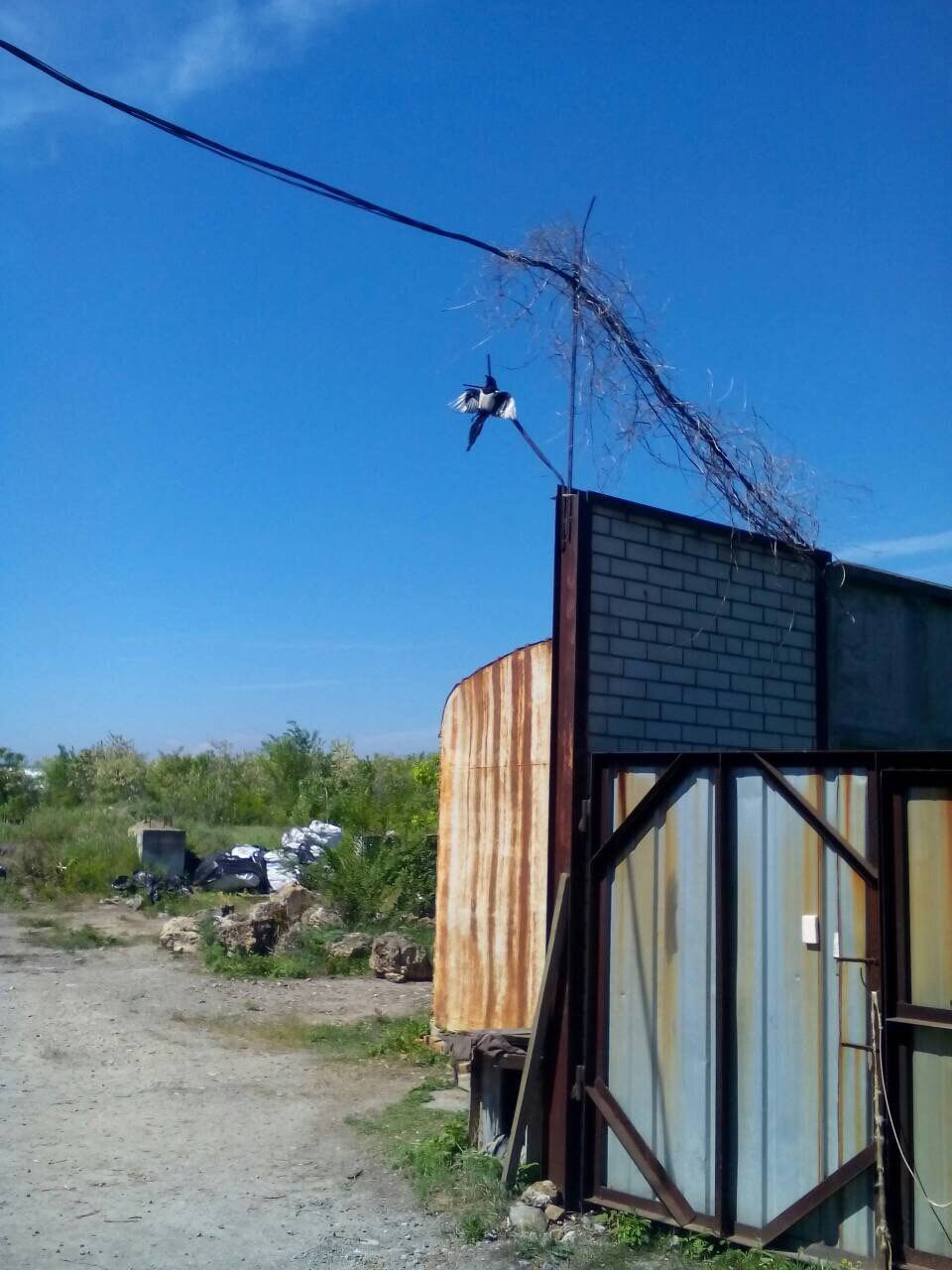 Ave Dominus Nox Ave Dominus Nox