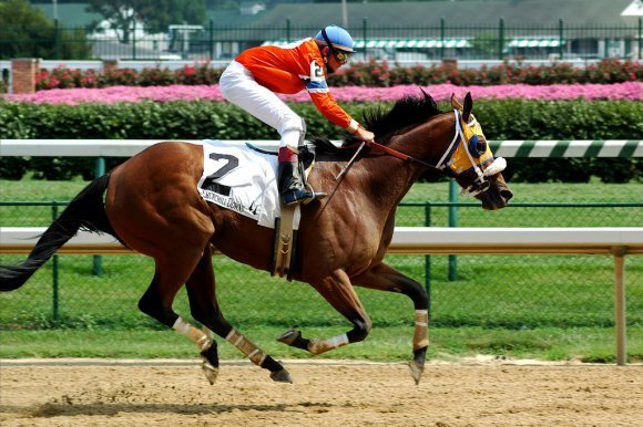 Общение с лошадьми приносит положительные эмоции