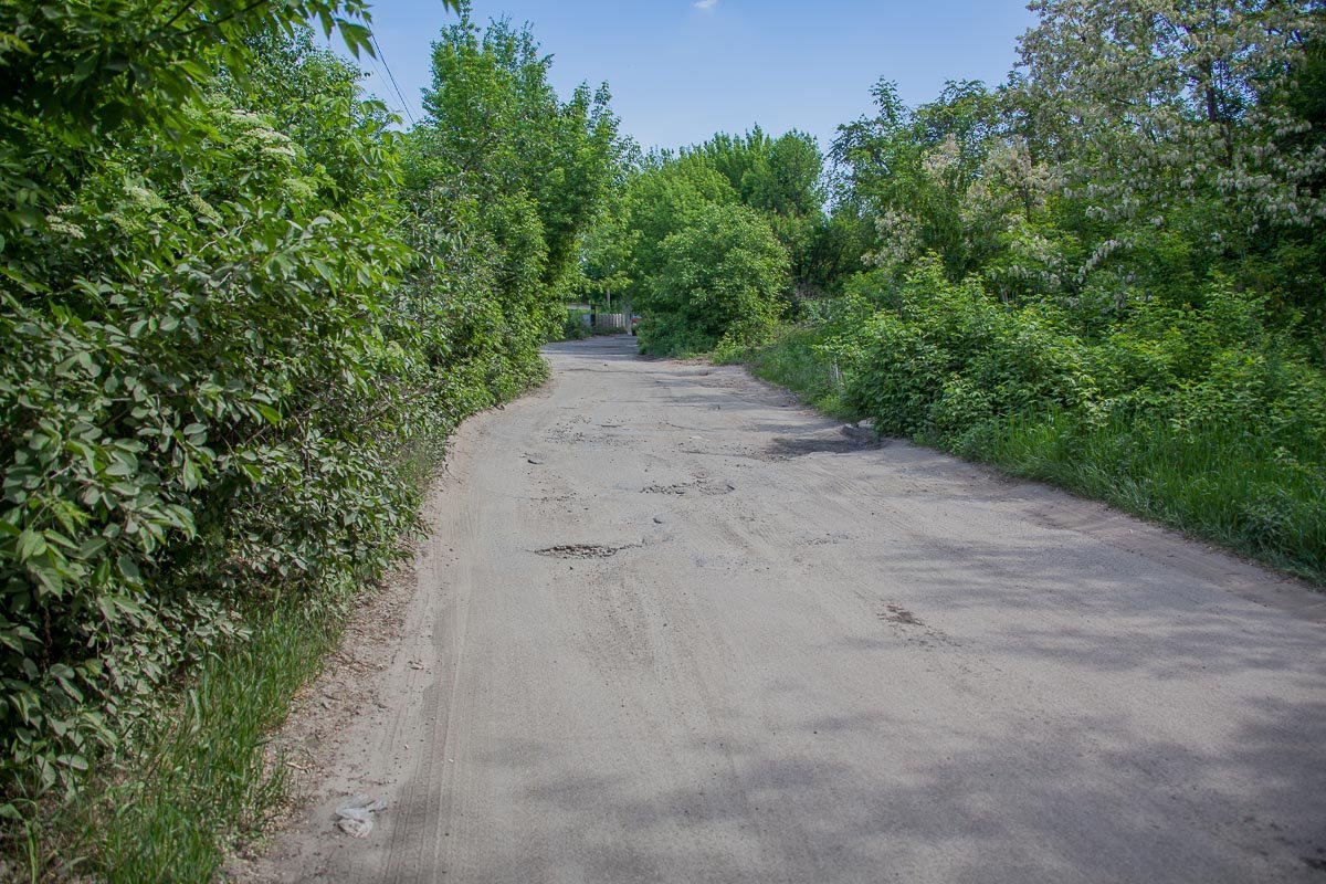 По этой улице, ежедневно проезжают тысячи автомобилей и автобусов По этой улице, ежедневно проезжают тысячи автомобилей и автобусов