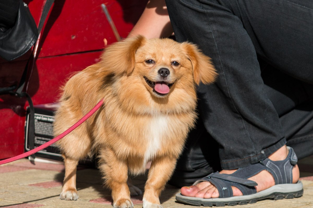Музыка - не имеет границ Музыка - не имеет границ