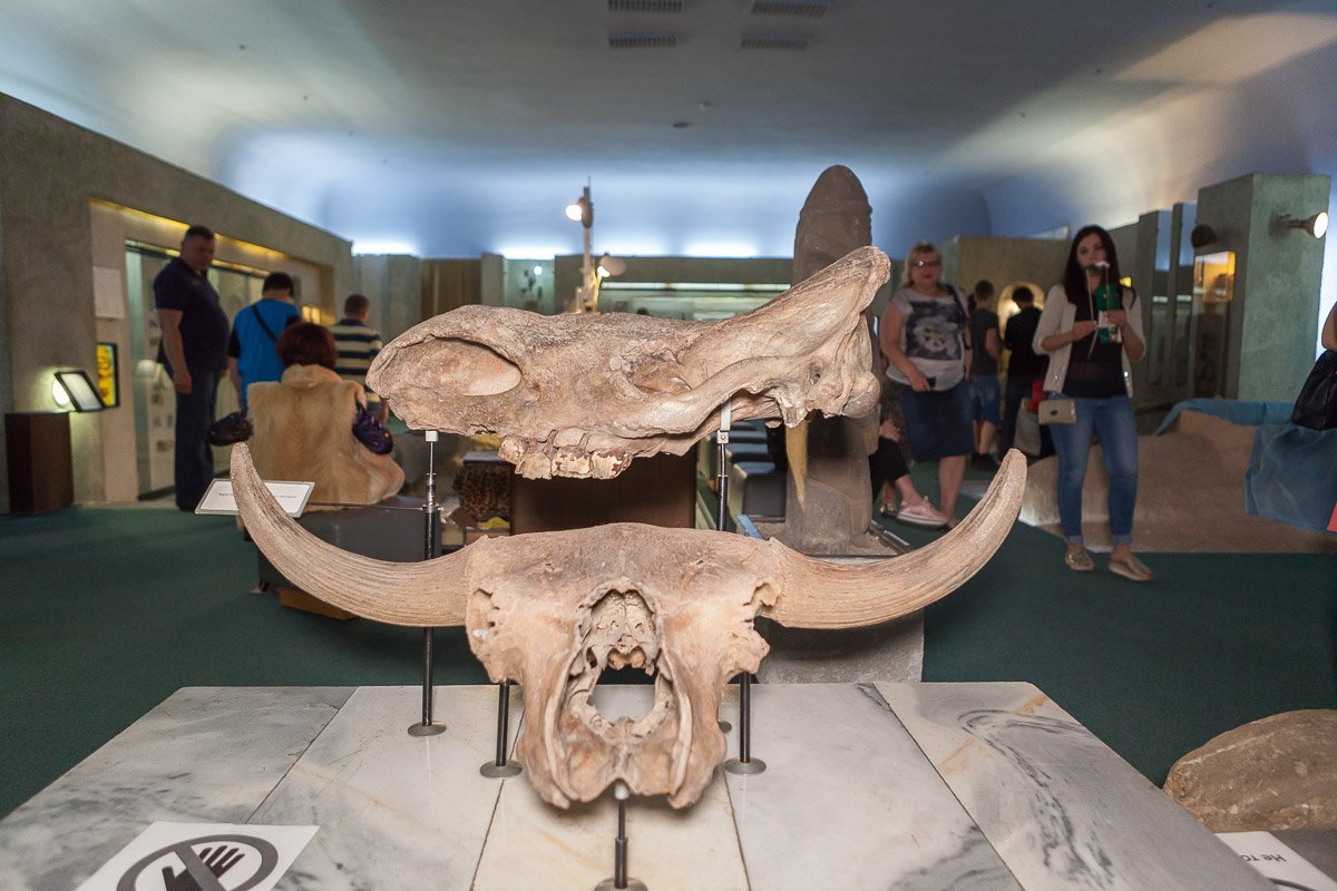 В этот день каждый мог выбрать себе музей по интересам - история, искусство, техника или же астрономия В этот день каждый мог выбрать себе музей по интересам - история, искусство, техника или же астрономия