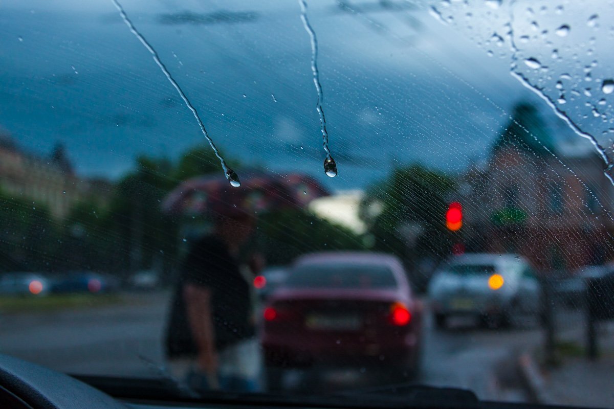 Фото: Андрей Шушпан Фото: Андрей Шушпан